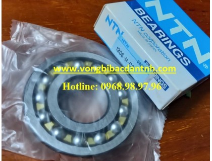 BẠC ĐẠN 1306-M-C3